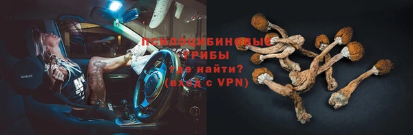 ECSTASY Бородино