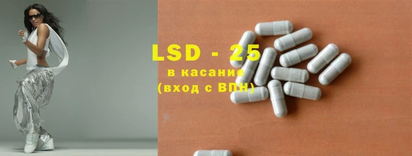 ECSTASY Бородино