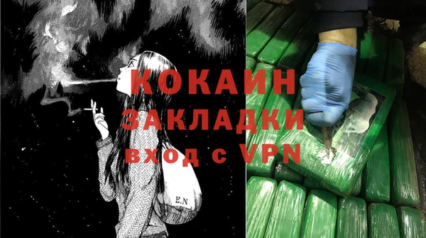 ECSTASY Бородино