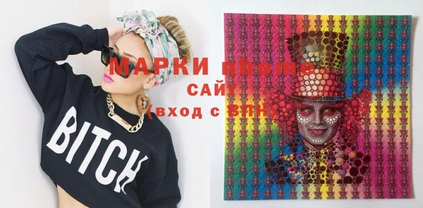 ECSTASY Бородино