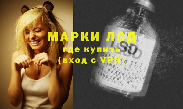 ECSTASY Бородино