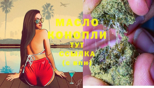 ECSTASY Бородино