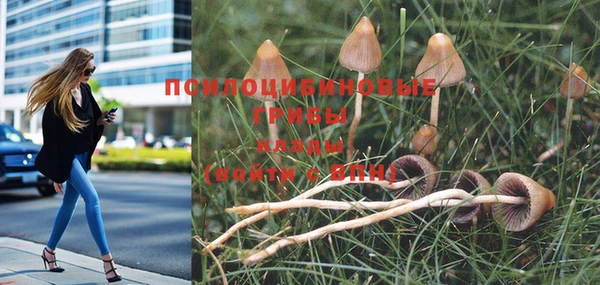 метадон Бугульма